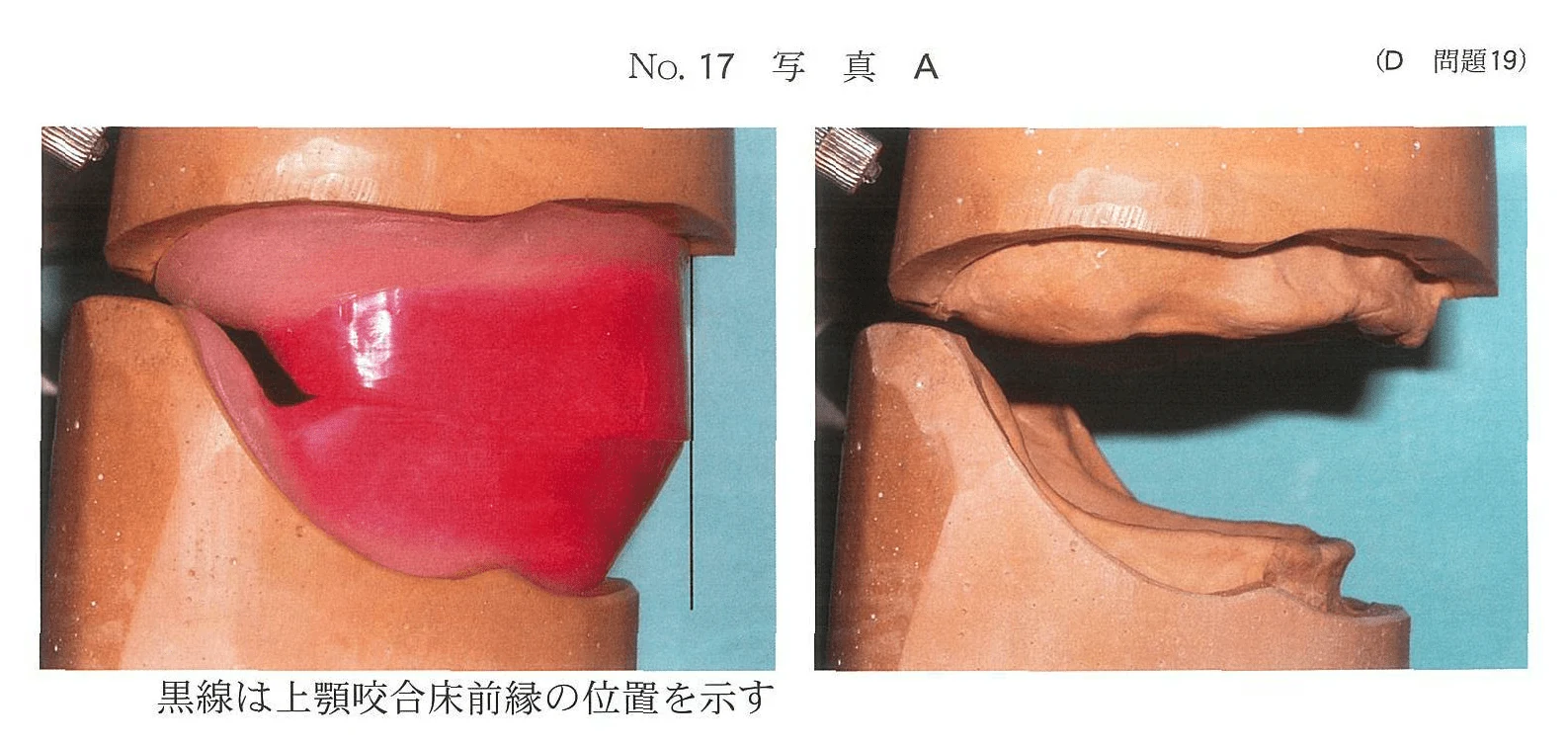 100D19の別冊図1