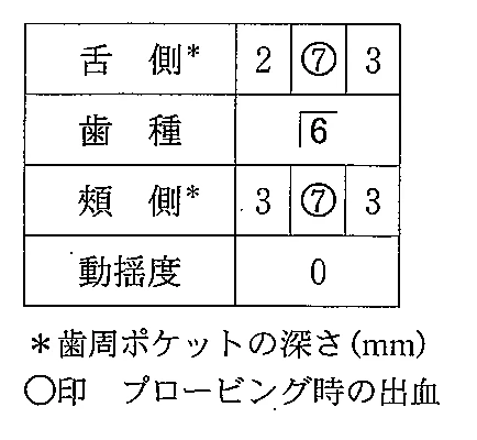 101C19の別冊図1