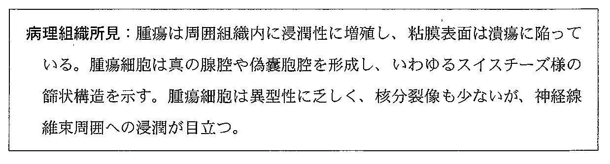 101C25の別冊図1