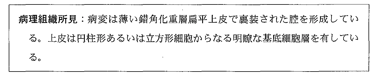 101C33の別冊図1