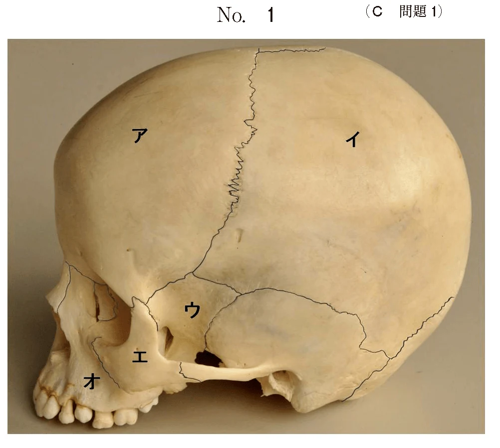 105C1の別冊図1