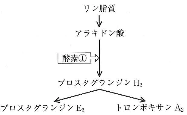 109A107の別冊図1