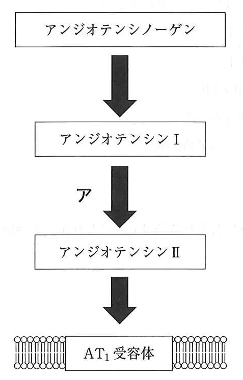 111D37の別冊図1