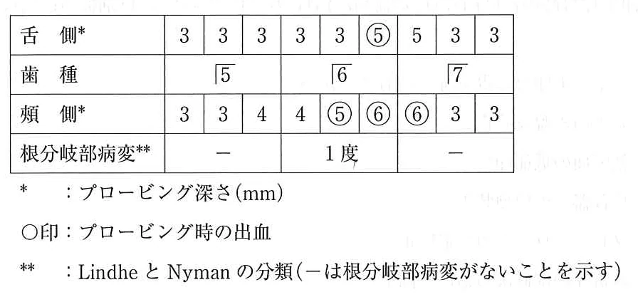 113C57の別冊図2