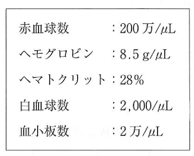 113C77の別冊図2