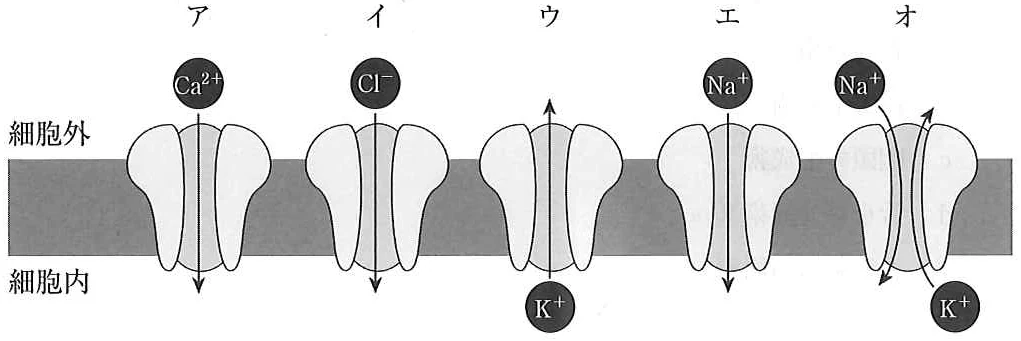 115D59の別冊図1