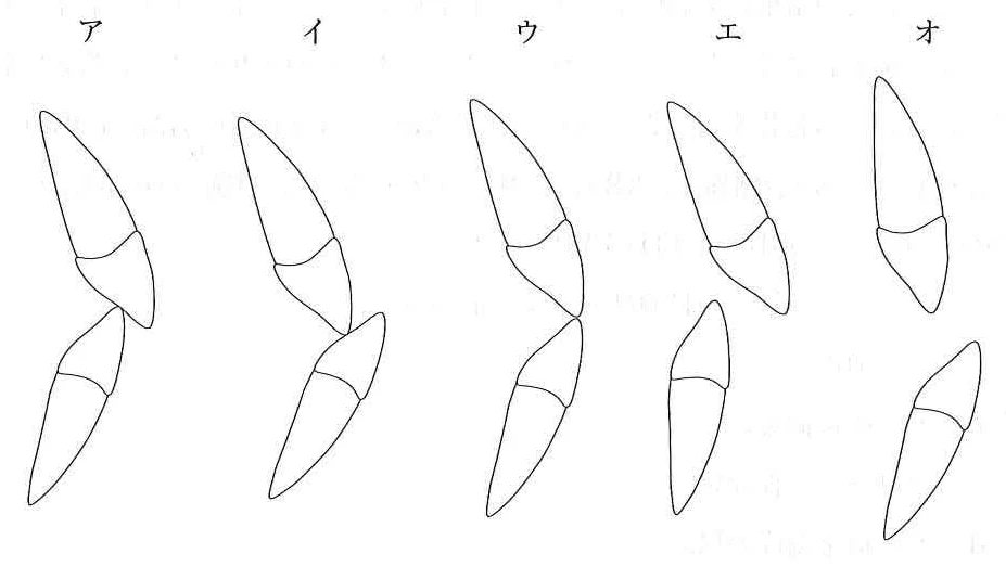 116C31の別冊図1