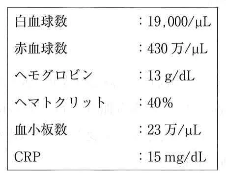 116C39の別冊図3