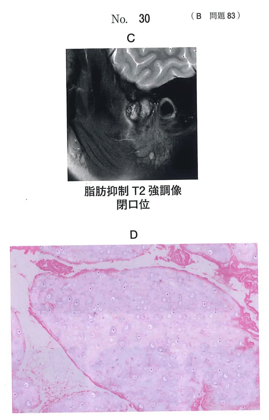 117B83の別冊図2